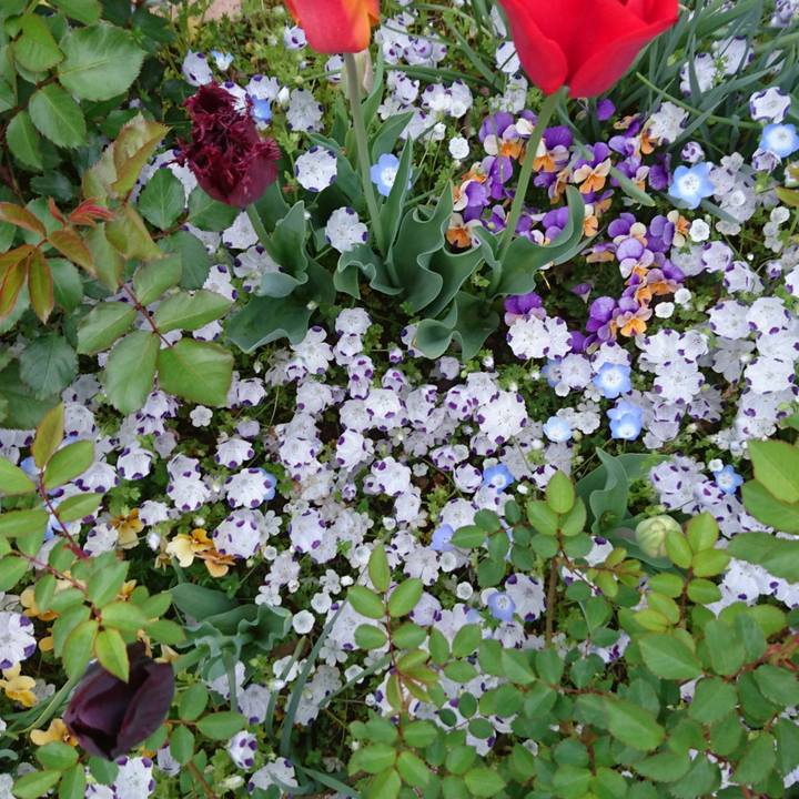 1aeb0979 eb7f 4879 a033 6a9a96477f73 1555166061185