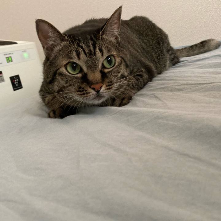 1aeb1e62 e073 43ca a607 a64f64fc1f00 1624061392658