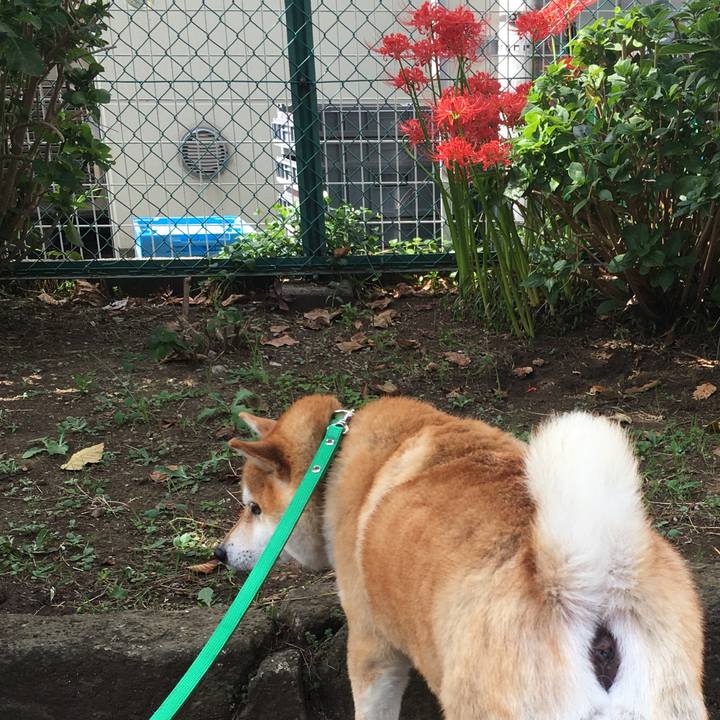 1aeb435a 3785 472b b280 8aaa8f4a279d 1601951843349