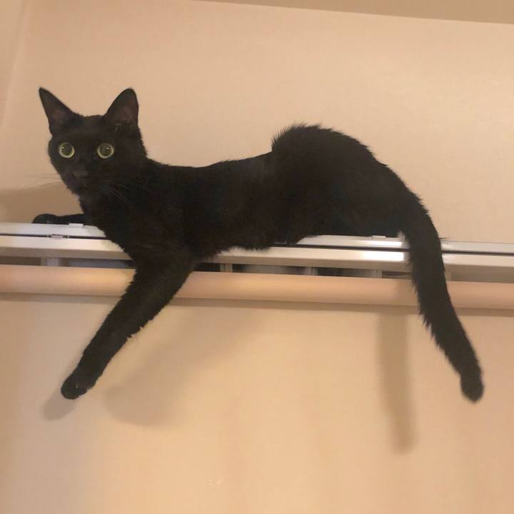 1aeb8f99 f0ed 4e34 b550 a48e3b264460 1569851354141