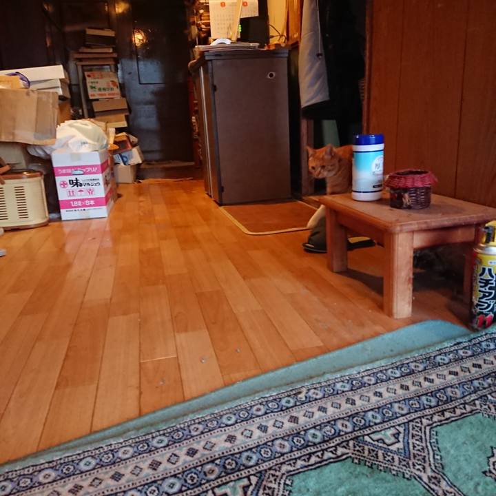 1aebc083 c2bc 4608 951b 985e9f04034e 1584003809045