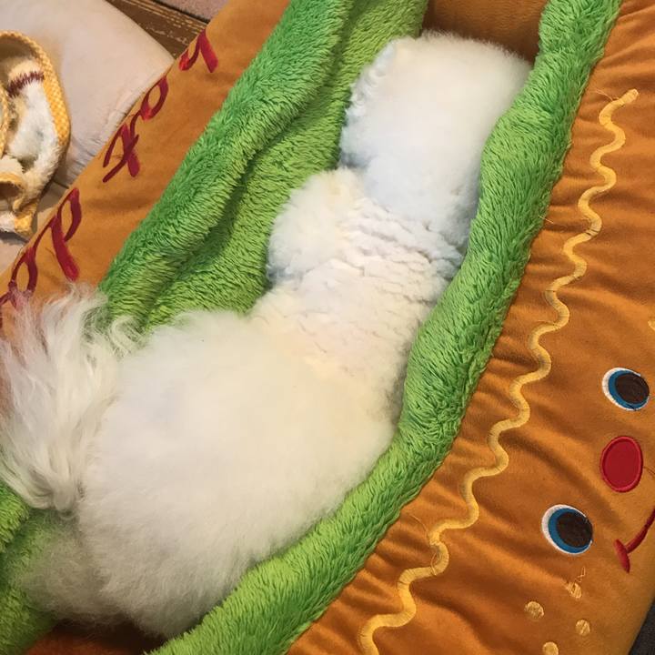 1aebc57f 712d 4b3f 865f 3319b2a75b35 1542067687326