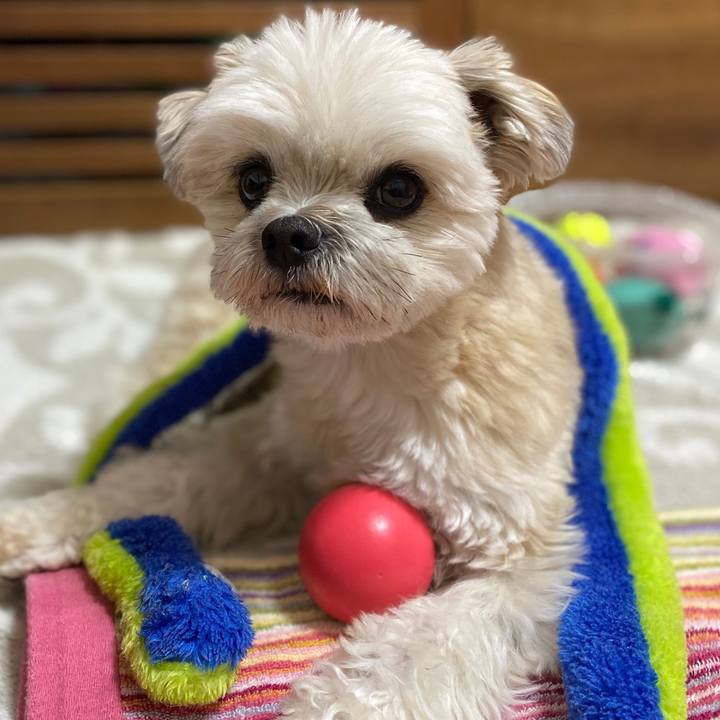 1aebd729 09d1 4ffb b9ec a14ea0738570 1583496494410