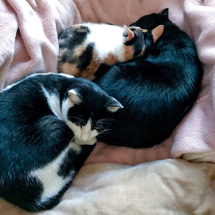 1aebf945 3cfc 4977 aac0 437409f89f4d 1510130841379