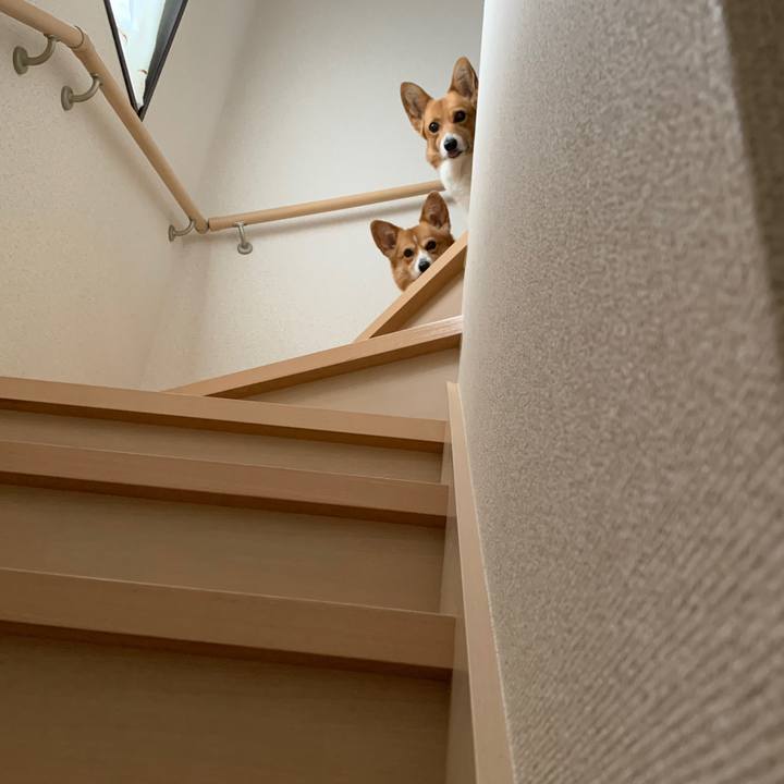 1aec01f3 23e0 41b0 bd4e 20c97bc349a2 1589606017670