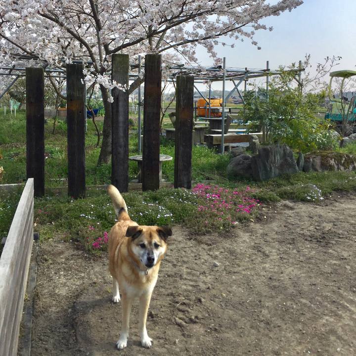 1aec2e0e b98a 4daa 9ffb 2254eac0b08b 1586341894484