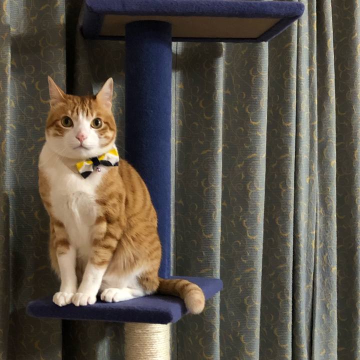 1aec43dc 8626 432a b7fd a4a8f1ff8bb9 1554733169577