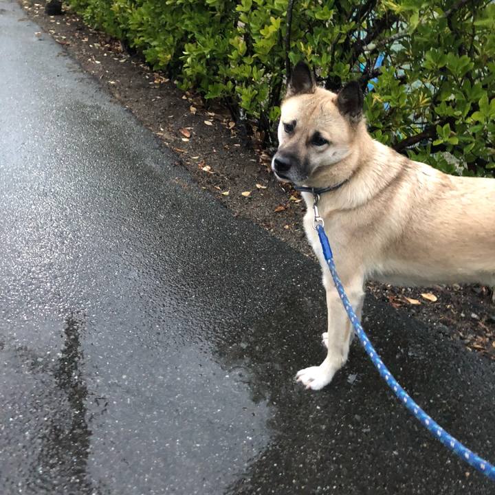 1aec5888 914c 421e 9f59 6ce441bba751 1577362865394