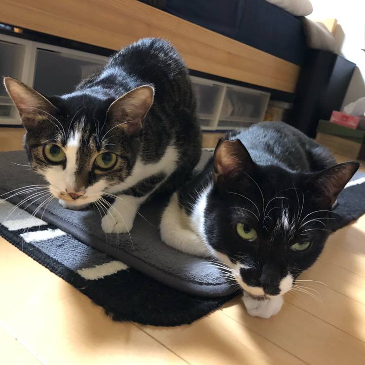 1aec9173 b88b 4d16 b1ce 09db1b4f93dc 1609772123625