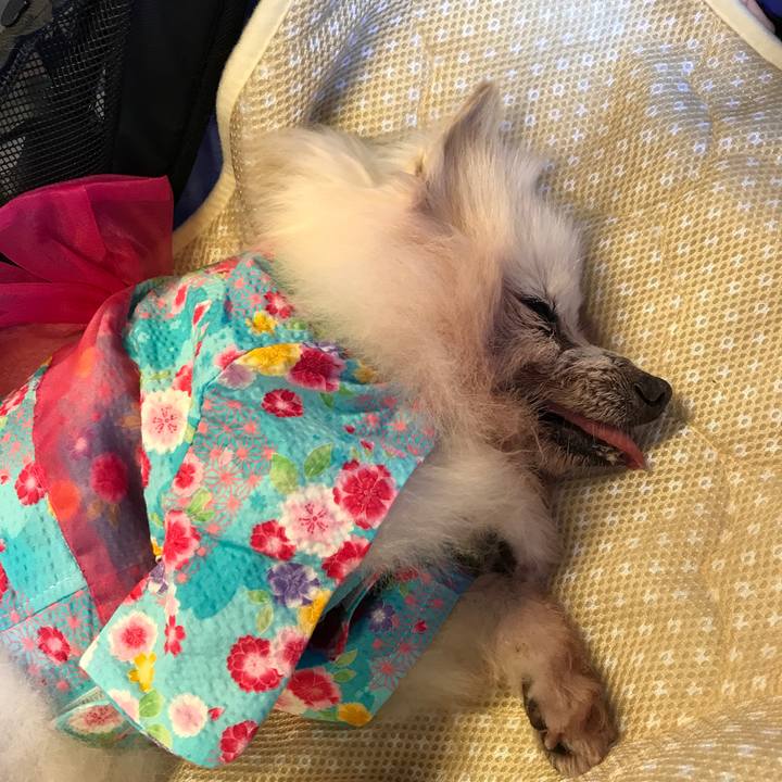 1aecbcdb a27a 49bf 9db4 29f21a8f5837 1533301603098