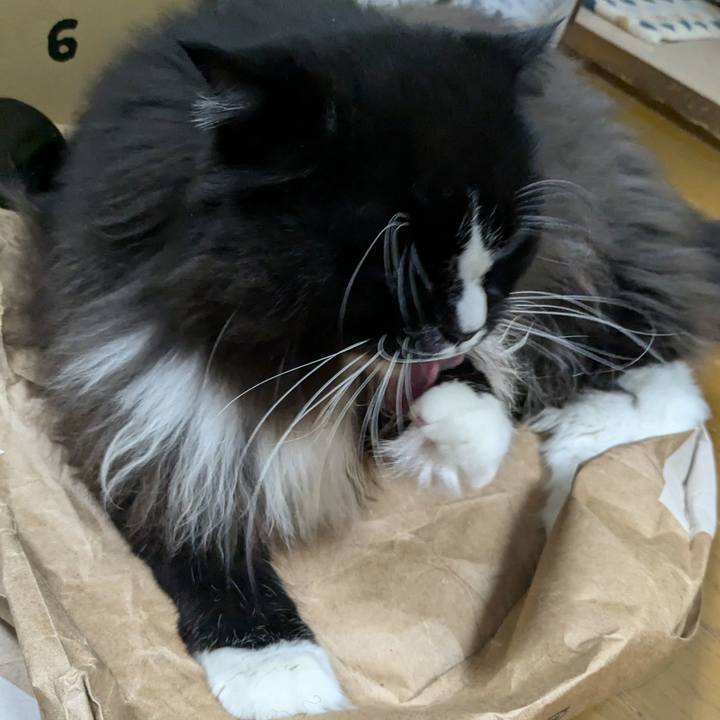 1aece097 4ca5 4a5c 9fca e890ec77ec03 1730122139854