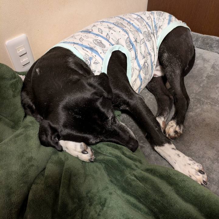 1aed5c6f e395 4f02 8971 98f46b4585c4 1768772705317