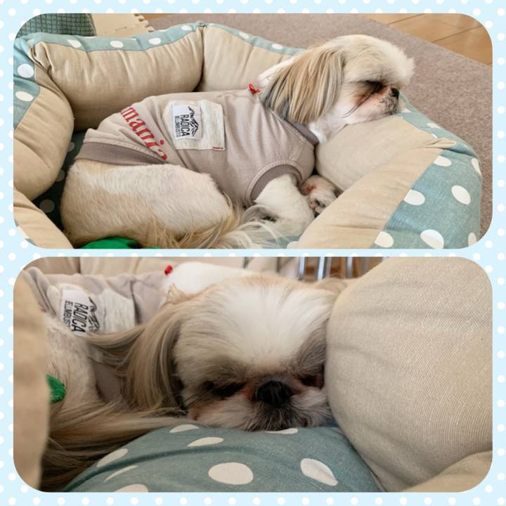 1aed6769 5f5e 4cd3 b943 f8bfc262aa05 1650690070910