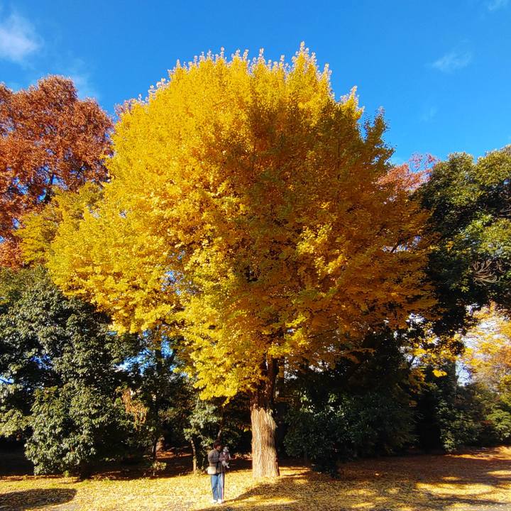 1aed6a46 2db2 4335 8da3 5a53214d465c 1764385856408