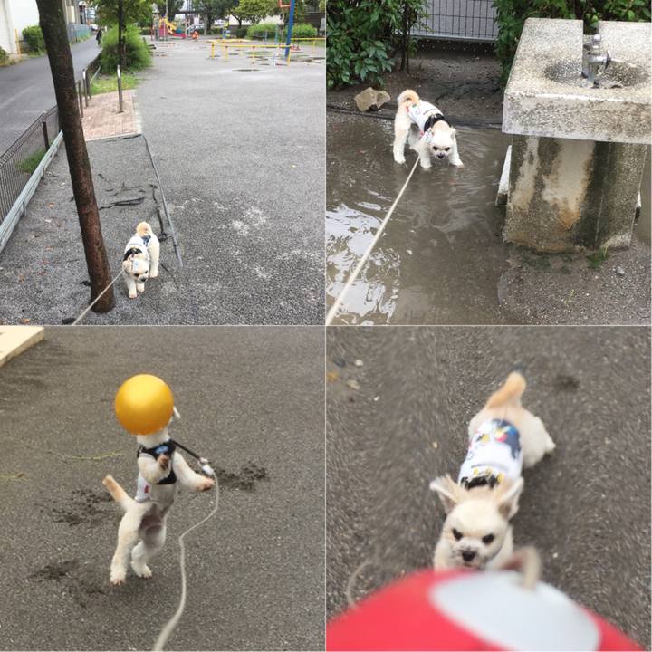 1aed9fab 29bc 4d16 8dd3 467804f63468 1535859309525