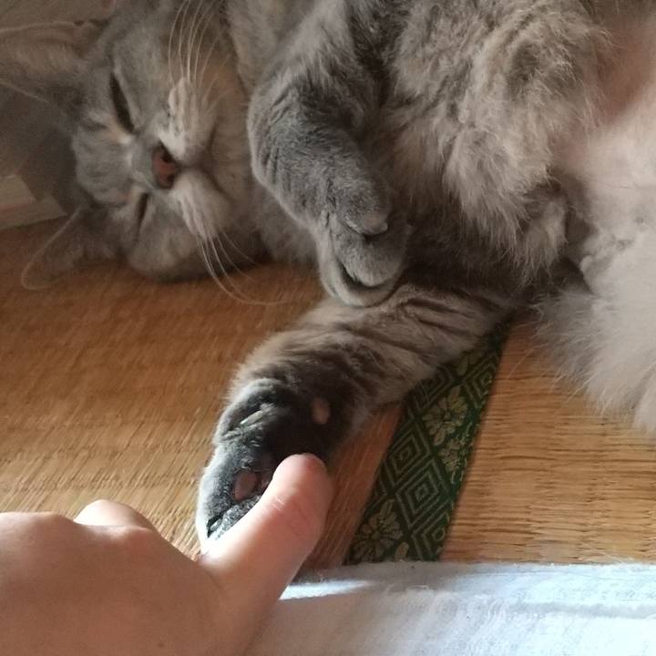 1aedb043 fd79 4d53 b7d9 8a0f15c69d3c 1658109027216