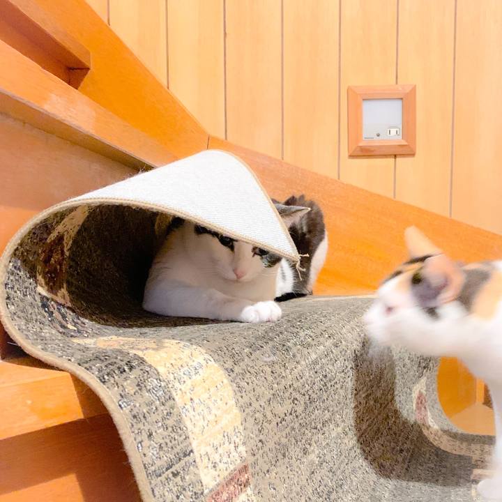 1aedbc00 f9c2 4e54 890c bda12023dfe7 1559698719967