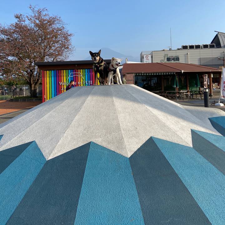 1aeddad7 a60b 4c25 966e 3694239434e1 1699289737387