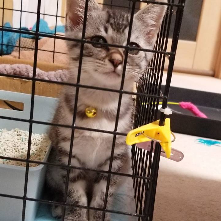 1aede2f1 0898 47c3 8923 5748dbd00bb7 1663978398022