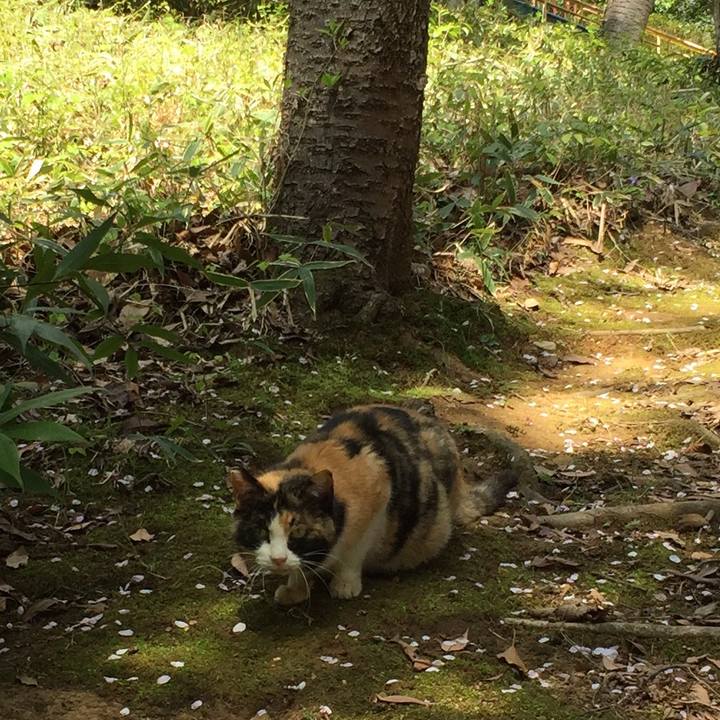 1aedeeae 963c 4424 ba52 5be80334c785 1522480362286