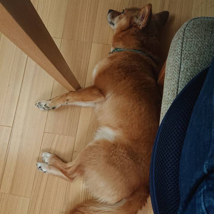 1aedfa2b f99a 4a16 bfb4 a57ff35cee40 1593506550207