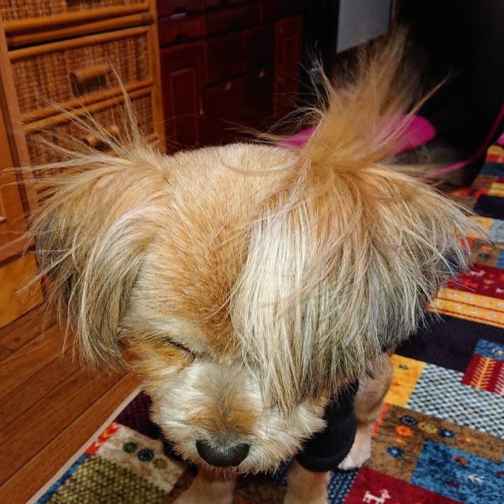 1aee0a32 37f0 47ce b259 0fad4659c629 1613559594162