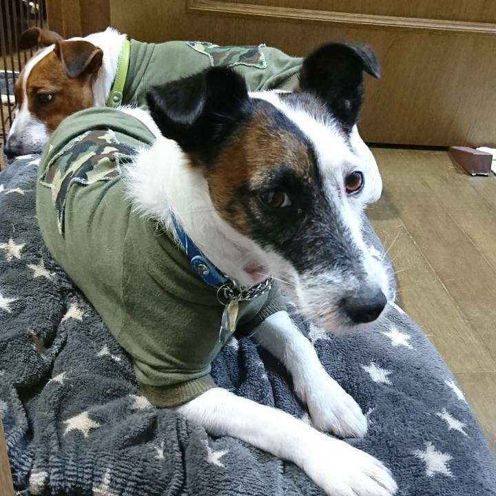 1aee71a6 c7e4 4513 9cbb d728485fccd7 1564312829189