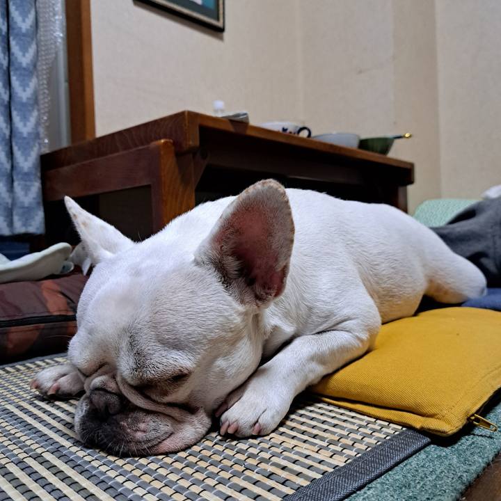 1aee9d48 15aa 47f8 918f ca93f86eb803 1693697582290