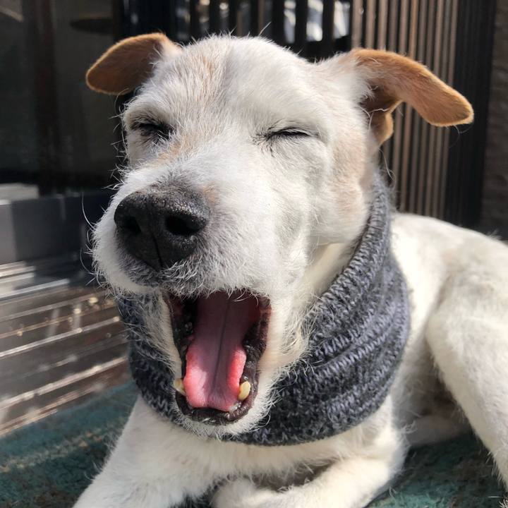 1aeeab5e a5b7 4f40 a664 5ee7d8c29625 1645233313458