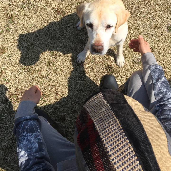 1aeeb9d8 bcb7 4236 a69f 96a73ab6a6a2 1575426638134