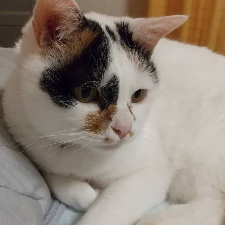 1aeee1ba 948b 4e52 99ca b1b467ed320f 1628602544618