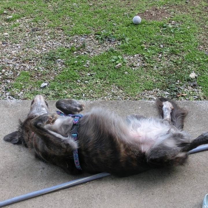 1aeefe8c f72e 4e41 9f23 bba6d2d736cf 1674819911590