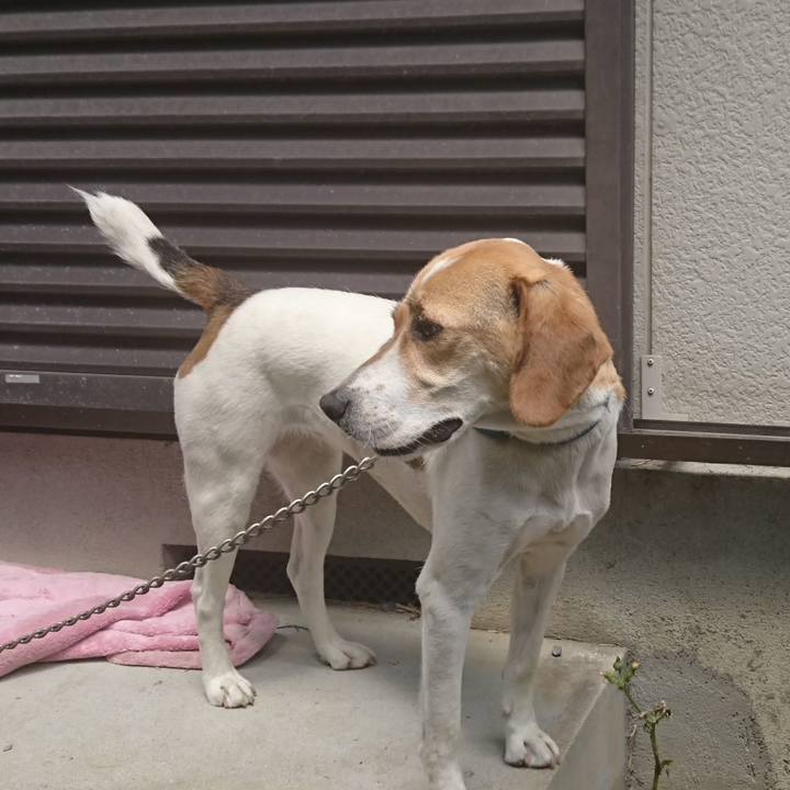 1aef2b1c 9b77 4150 98c8 3c9b13554c06 1561469387250