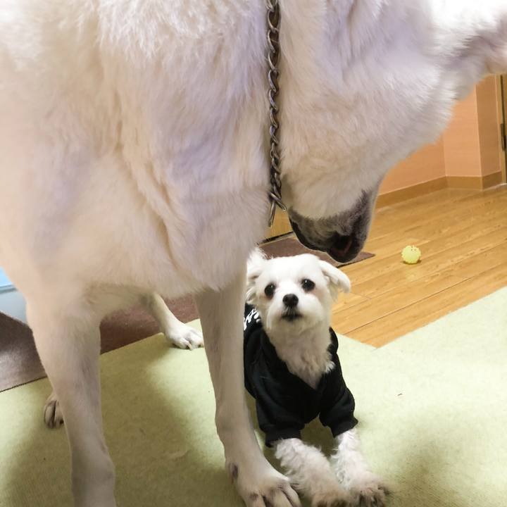 1aef3448 b903 4de2 9398 ecb478331d87 1551192454057