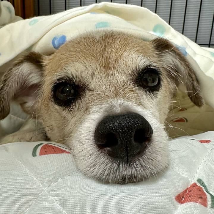 1aef4de9 24b0 4024 b93f 78eb766f2b6a 1694178309497