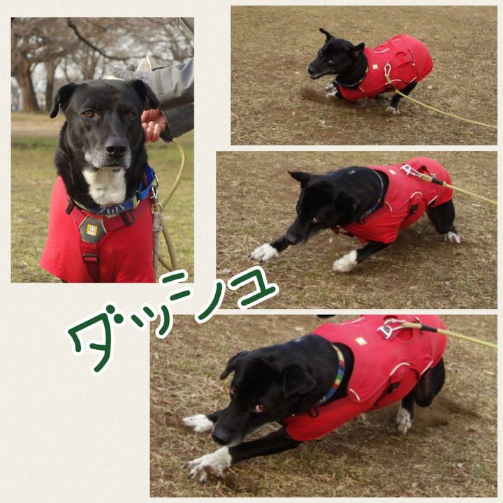 1aef8b52 c910 4b4e b8b9 a1f57887af08 1675732773545