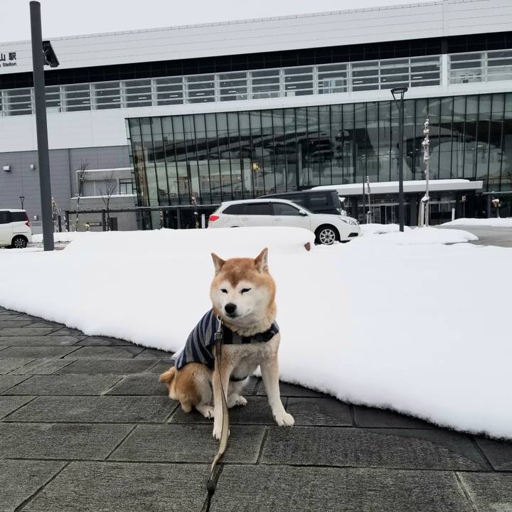 1aef8c64 3034 46b8 9028 2f3db7033453 1674793042101