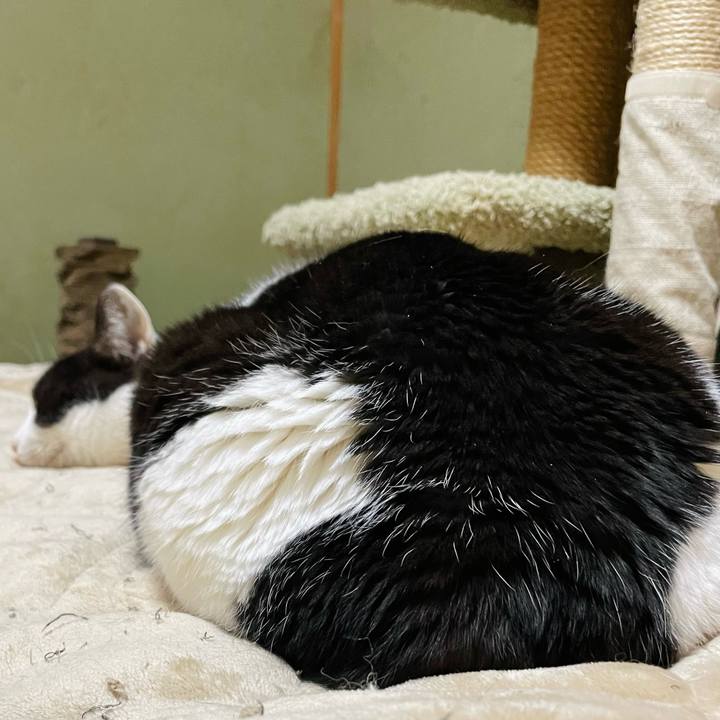 1aef93f9 2e68 4219 8cea cb6af3ff9943 1646617229172