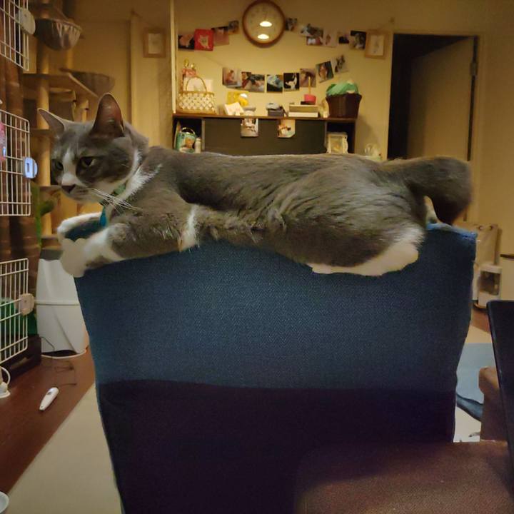 1aef9c49 0de3 4117 a661 ce4daee111e8 1666527688930