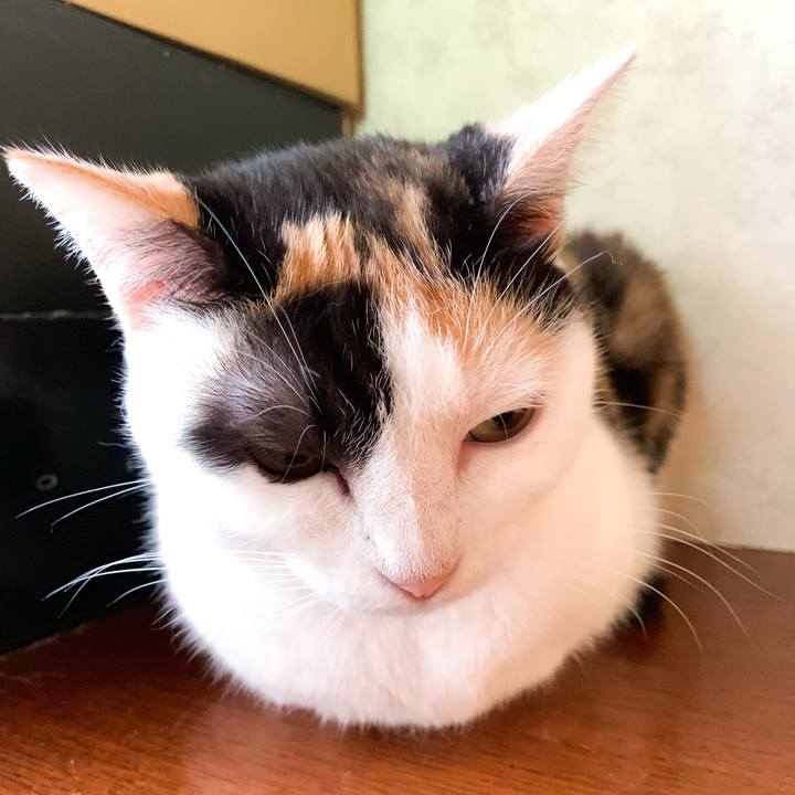 1aefbc3f 8794 4b32 a237 d610ee5817da 1572142830928