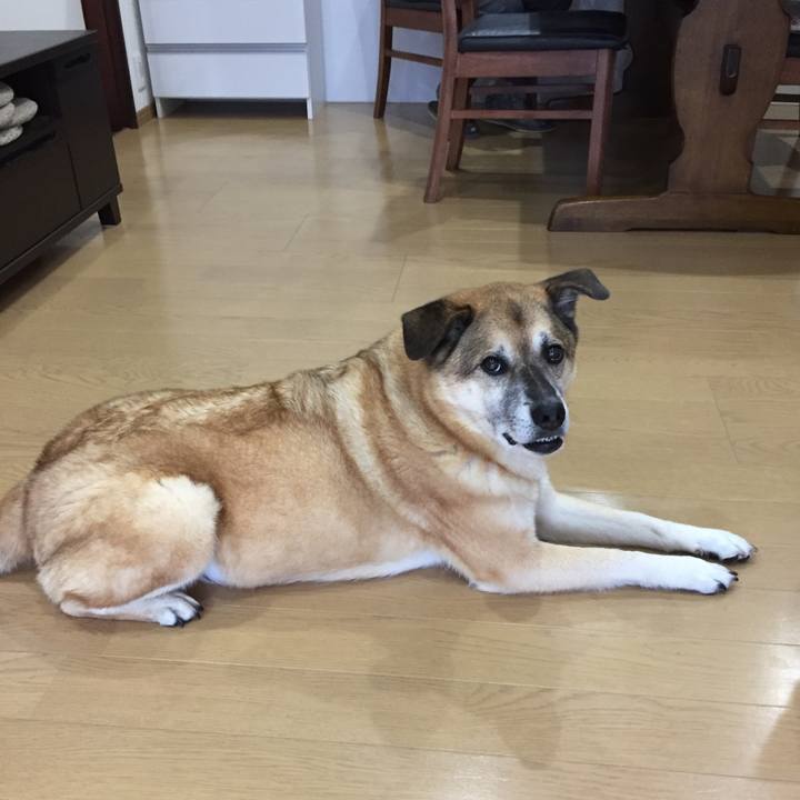 1aefc9d8 96b3 43f5 b687 a0075dd15798 1566427555976