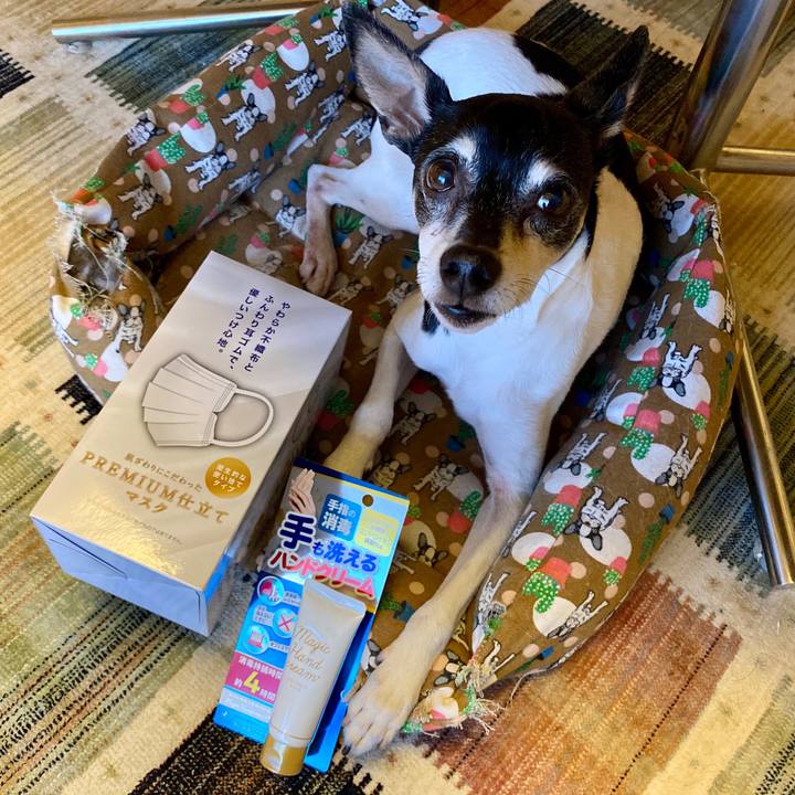 1aefda8b c7f2 478b a204 8bc06aa019dd 1581464053688