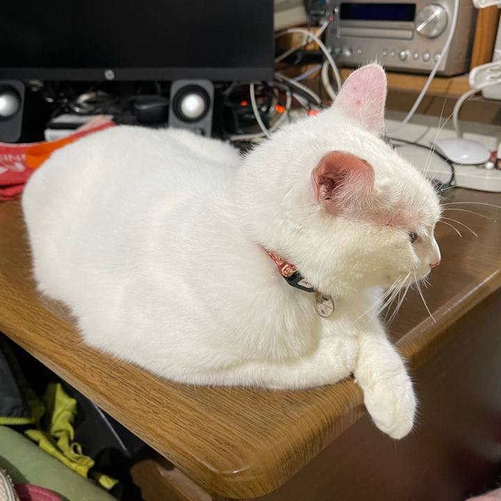 1aefdfb1 f1ee 4ee9 b6ca 43821df311e9 1756248800041