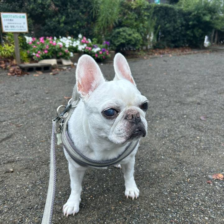 1af0040e d5ee 45f8 91b7 572a03249fed 1759662141783