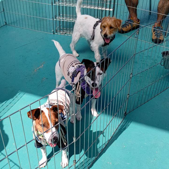 1af0511d 83e3 4553 83af 123028a95321 1664089958339