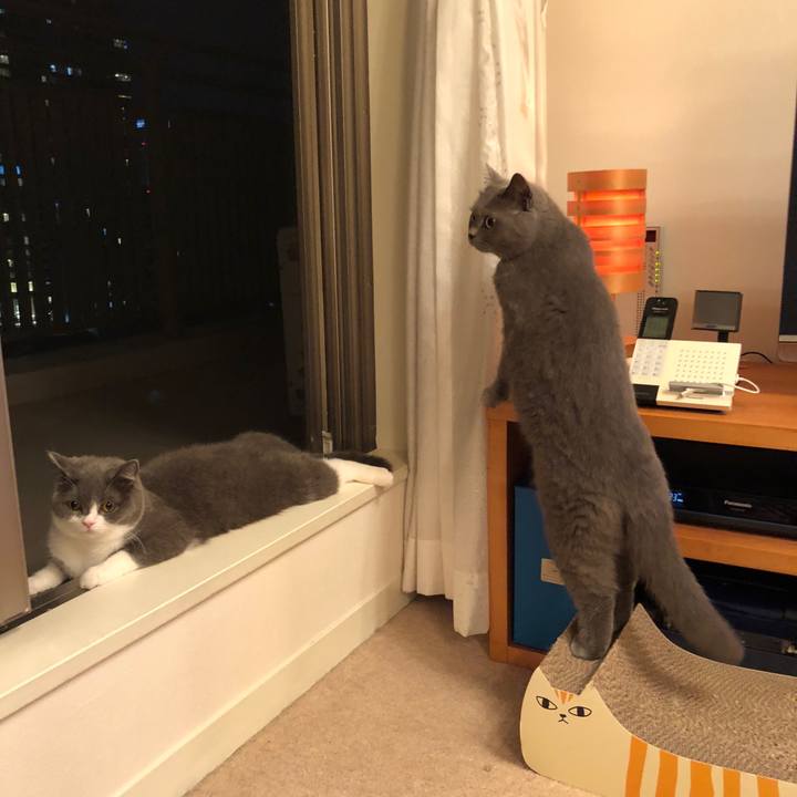 1af06004 f5cd 483b 844c 3a37638a1299 1528026260560