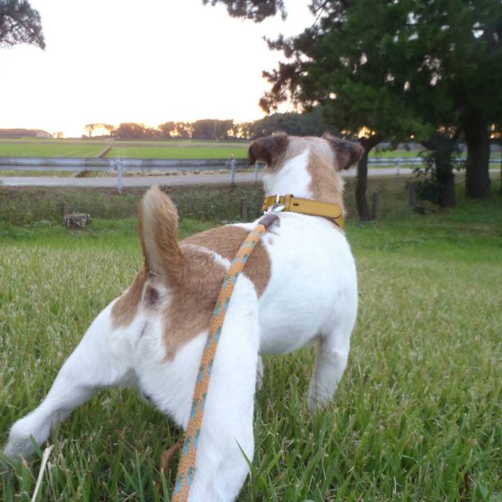 1af0ae03 820e 4d19 906e 6c59a60ba10a 1507683965715