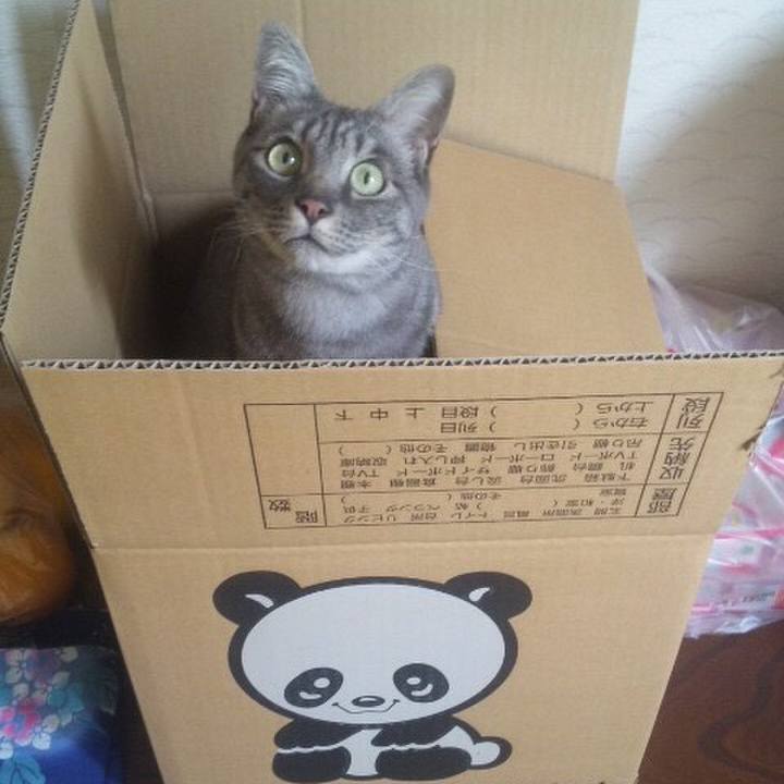 1af0c891 2ae8 4bcd a177 a79e1fb77488 1544804081014