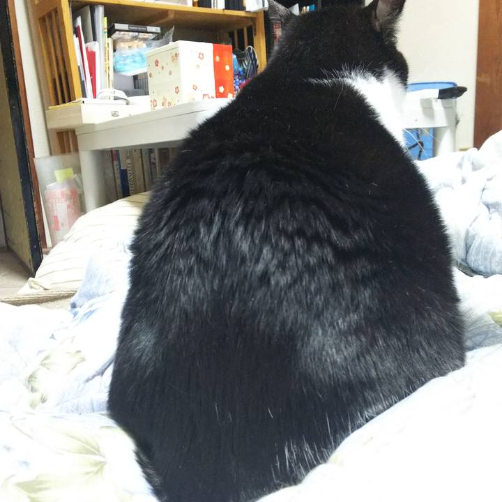 1af0e50d 1fd9 4c72 bd75 38b781d602a4 1546209204333