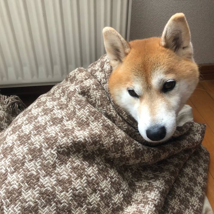 1af12b91 0c54 45e8 906e d7a99c673205 1549681294502